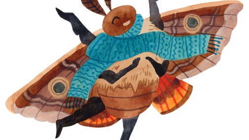Moth from the 2026 moth trail